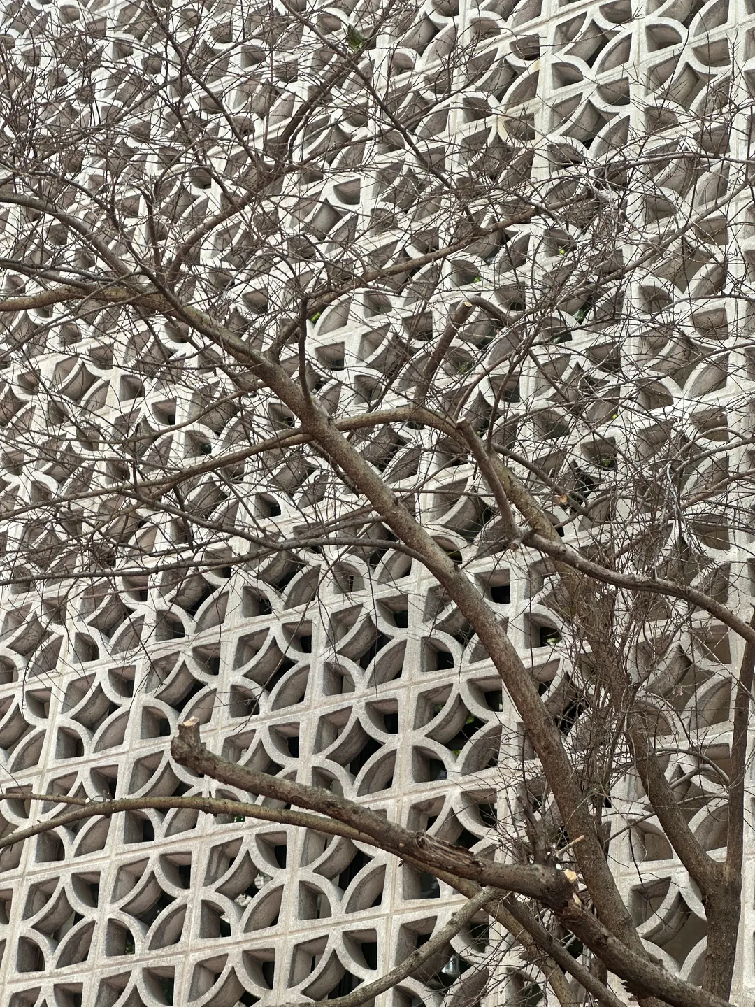 Upper East Side Brutalist Architecture Tour, photograph 23